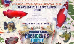 Indonesia to hold worlds biggest ornamental fish exhibition