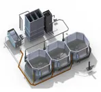 <b>Why Choose Us</b> High Technology Farm High Quality Control tropical fish export technology